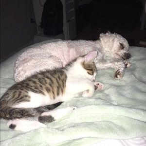 Meet your Posher, Fernanda