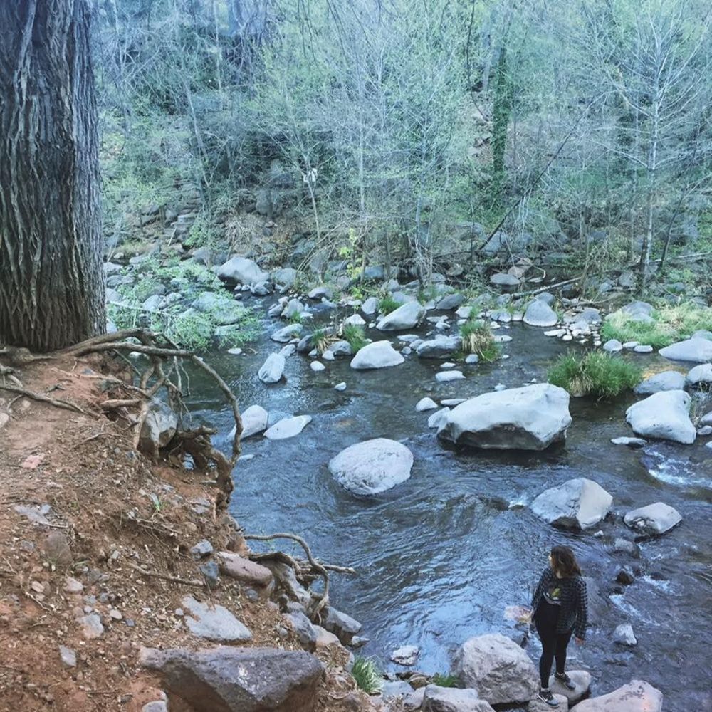 Meet your Posher, Jess