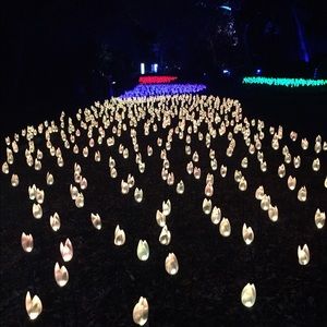 Meet your Posher, Helen