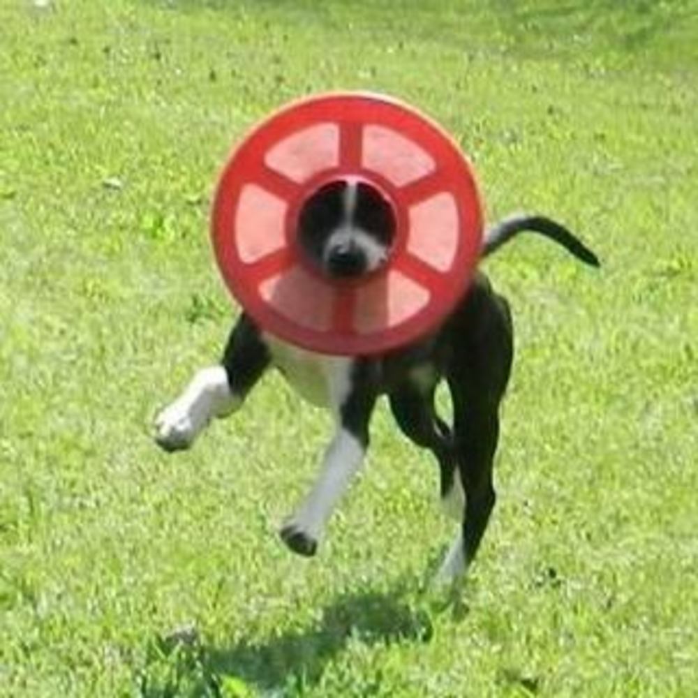 Meet your Posher, Melinda