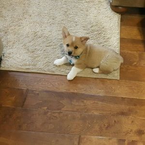 Meet your Posher, Rhonda