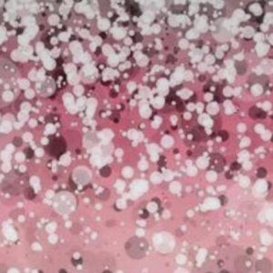 Meet your Posher, Shay