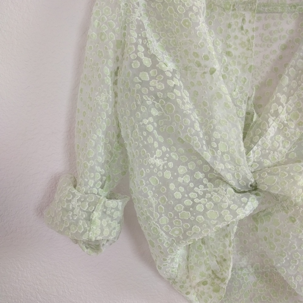 Vintage Pixie Dust Sheer Blouse