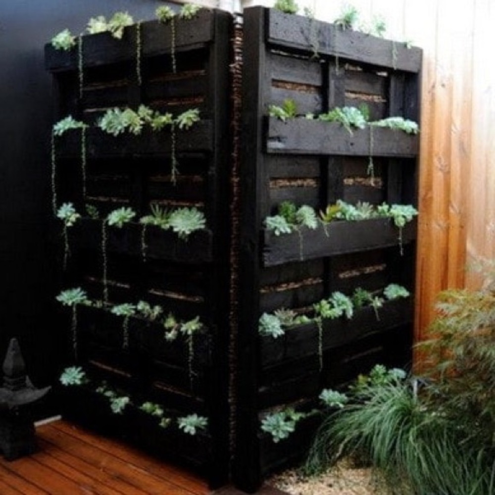 Meet your Posher, Jo