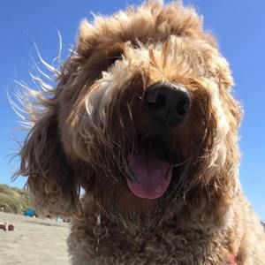 Meet your Posher, Ali