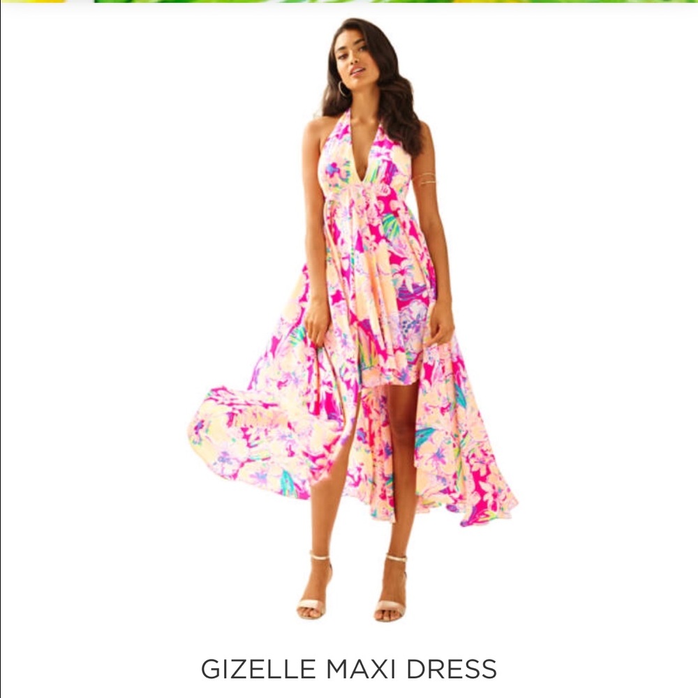 Gizelle maxi dress NWT never worn