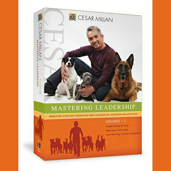 SOLD!!!Cesar Milan Mastering Leadership Dog Training DVD~pets - Picture 2 of 3