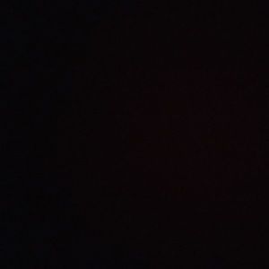 Meet your Posher, Arlene