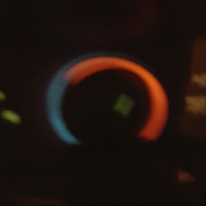 Meet your Posher, Holly