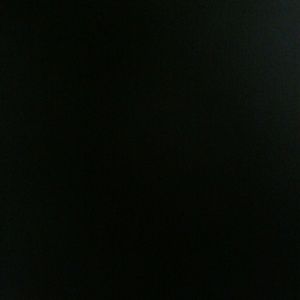 Meet your Posher, Sidney