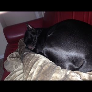 Meet your Posher, Margie