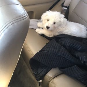 Meet your Posher, Kaylen