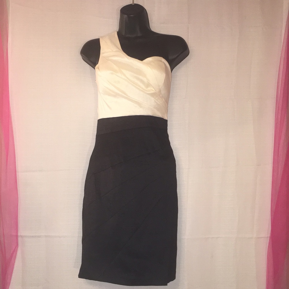 Alyn Paige Dress - NEW!