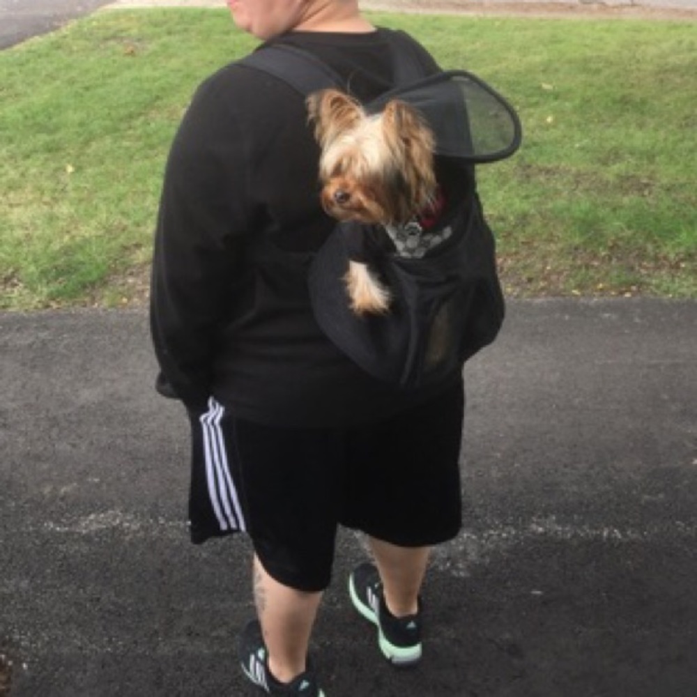 NEW PET  Travel  BACKPACKS🐾🐾🐾🐩🐩🐩🐩🐩🐕🐕🐕🐕