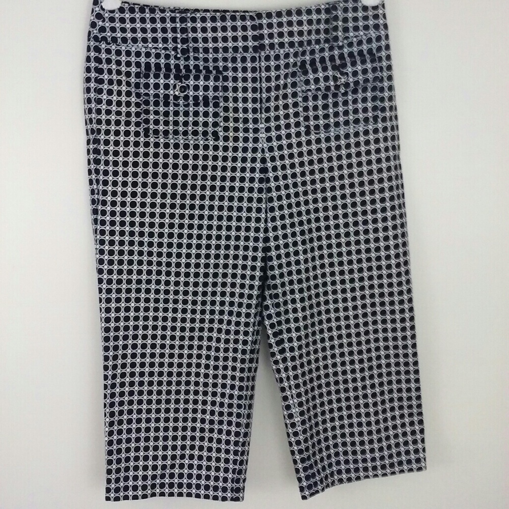 Ann Taylor Margo Capris Cropped Pants Size 4