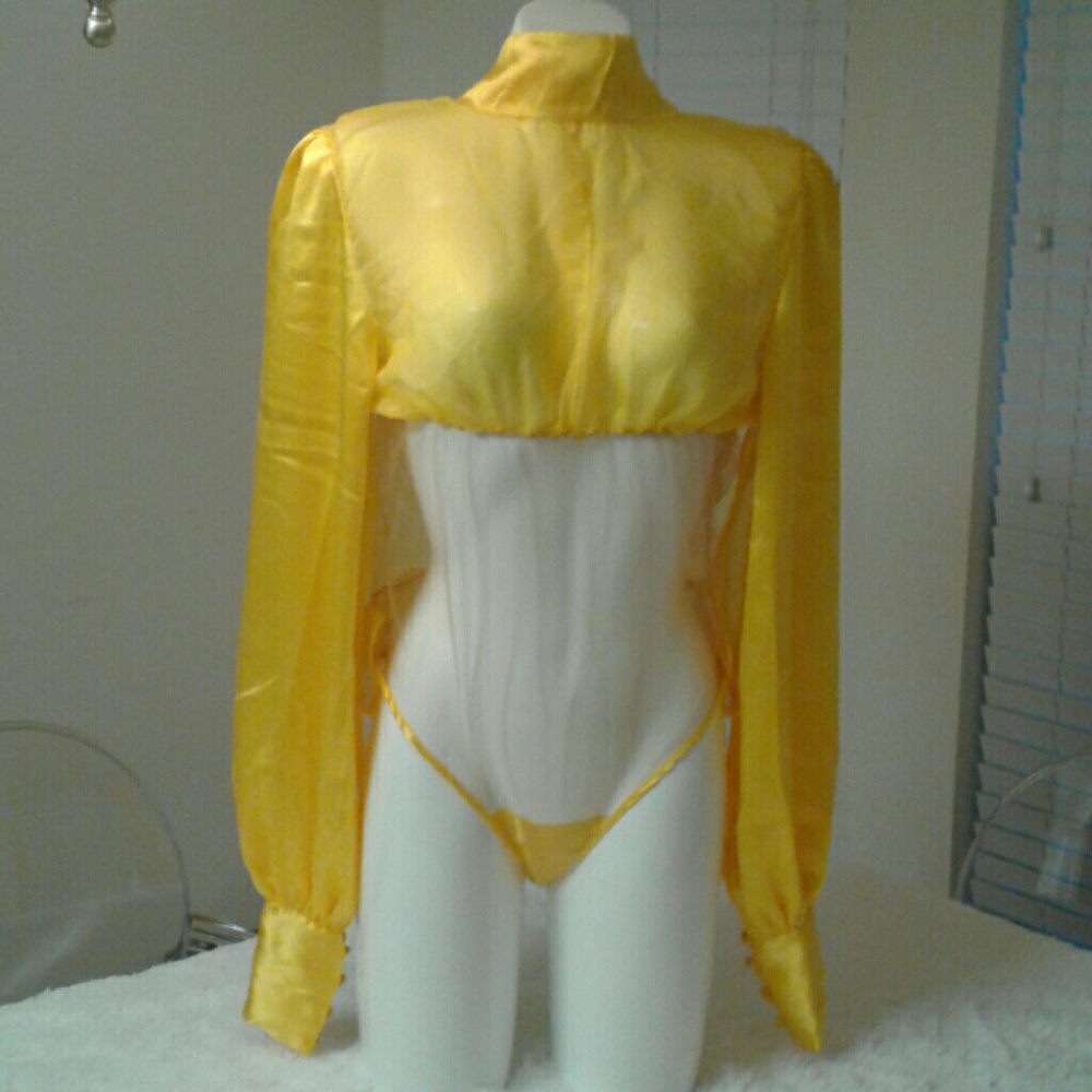 Silk & Chiffon Bodysuit