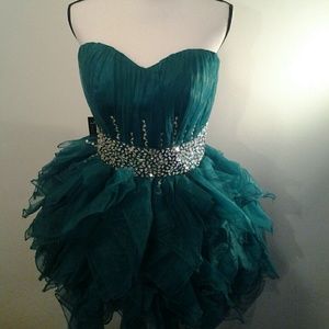 Beautiful  Mini Dress