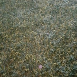 Meet your Posher, Isidore