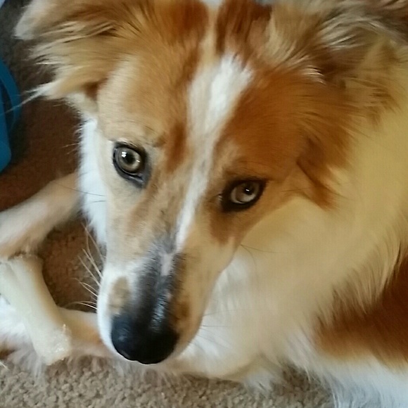 Meet your Posher, Heather - Picture 1 of 1