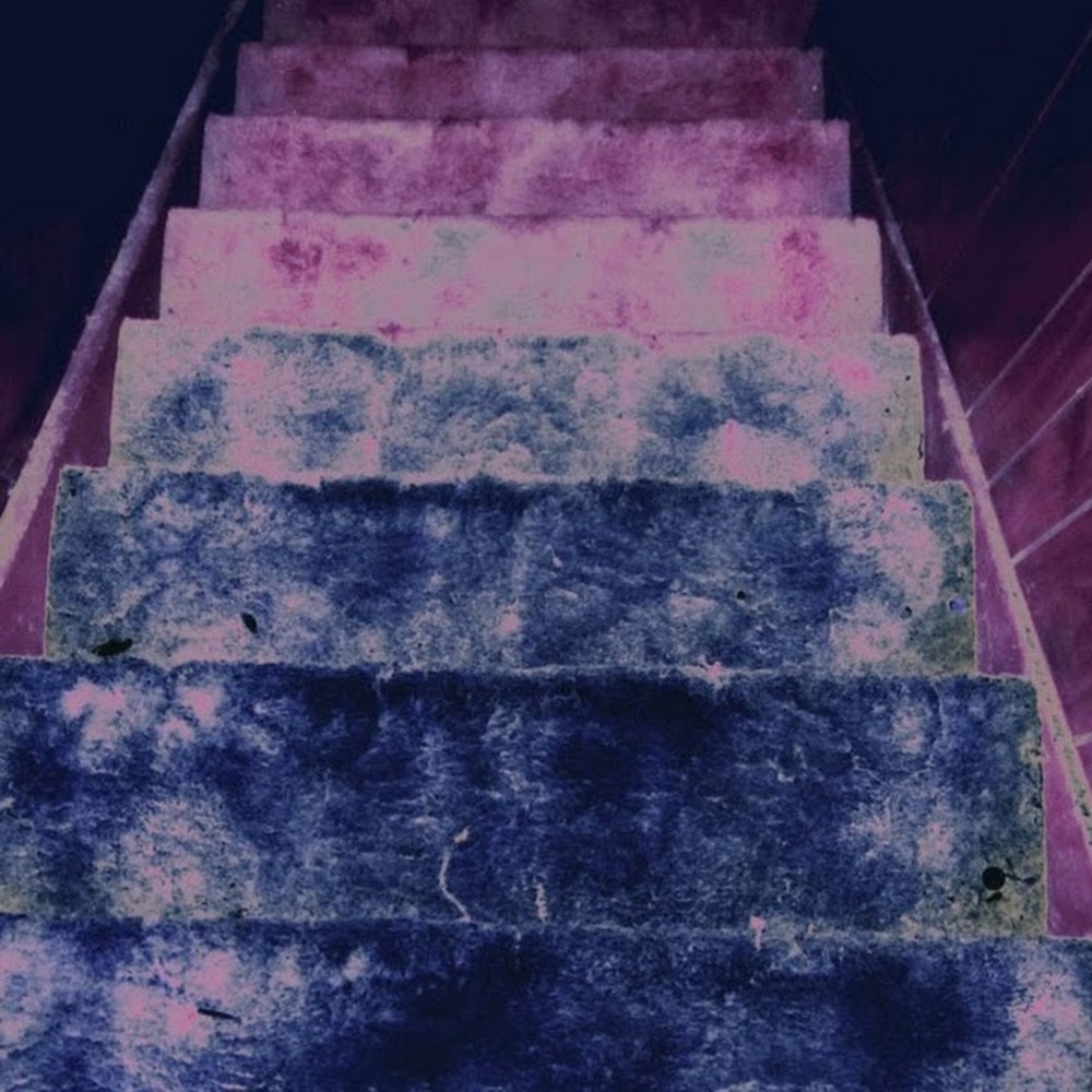 Meet your Posher, Elyse