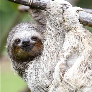 Meet your Posher, Annalise