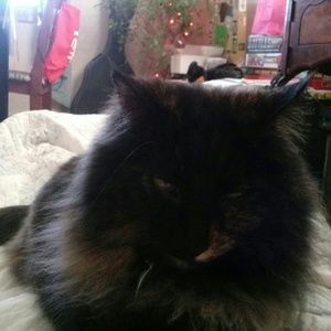 Meet your Posher, Jose raul