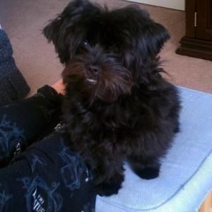 Meet your Posher, Robert