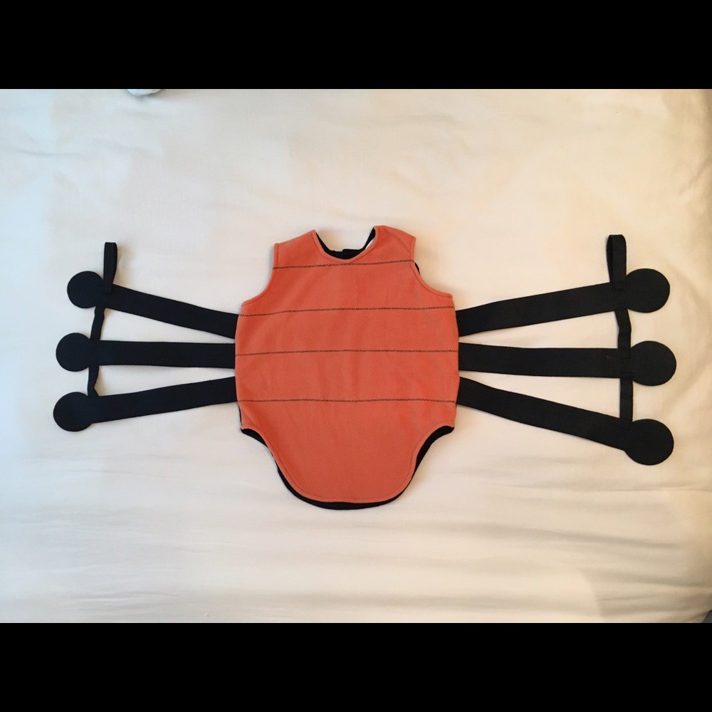 Pottery Barn Kids 2T-3T Halloween Spider Costume