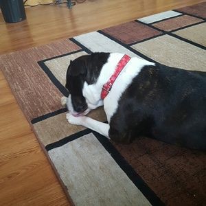 Meet your Posher, Arnold