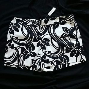 White House Black Market Shorts