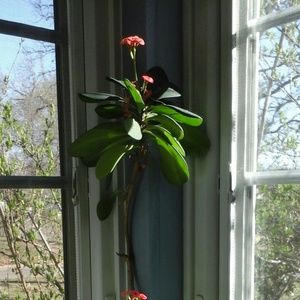 Meet your Posher, Beverly