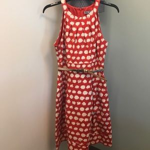 Eliza J coral and cream dress