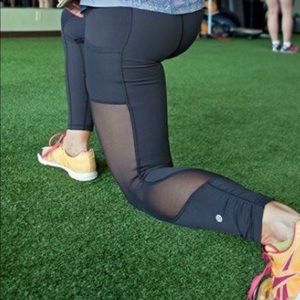 Seek the Heat Crop size 6.