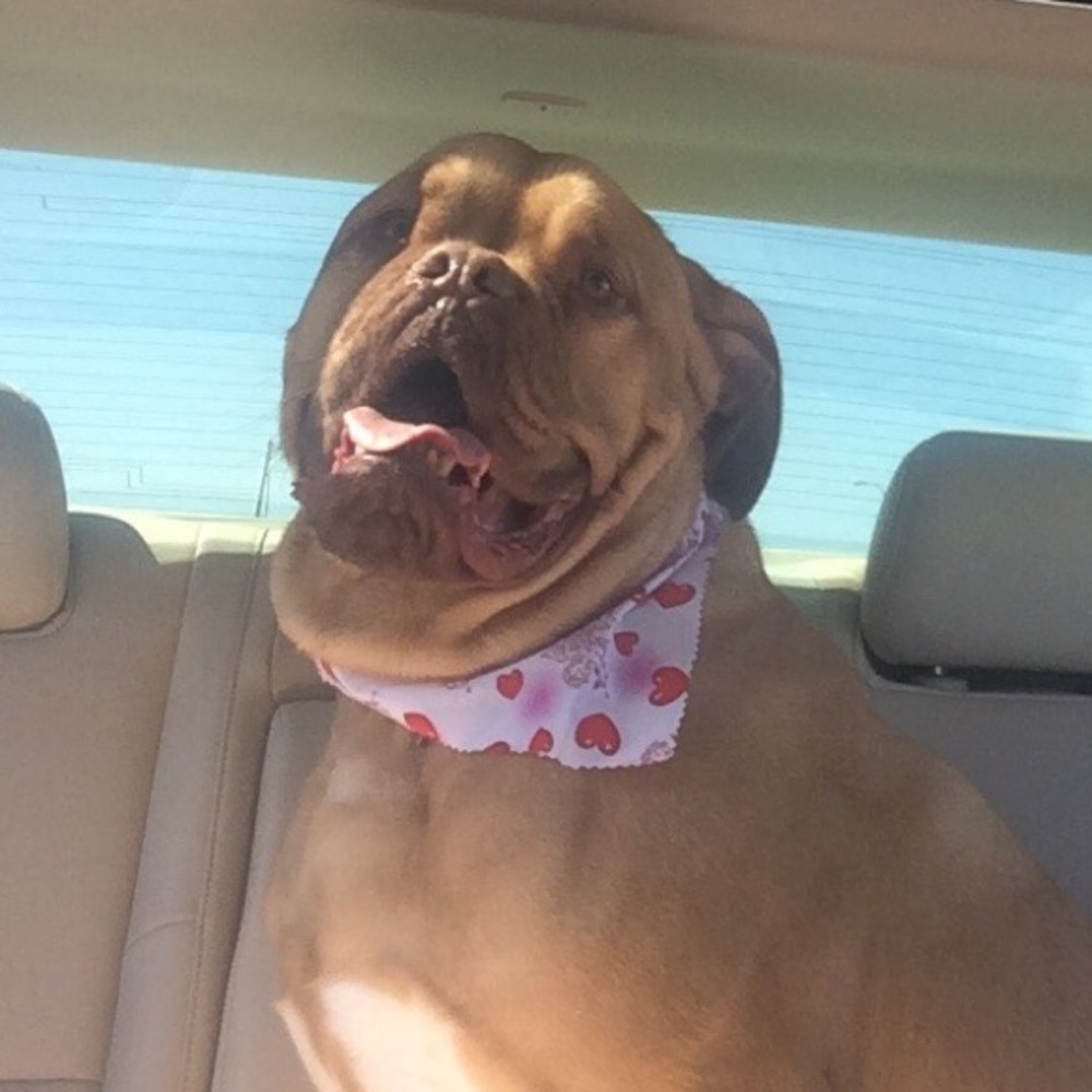 Meet your Posher, Krystle