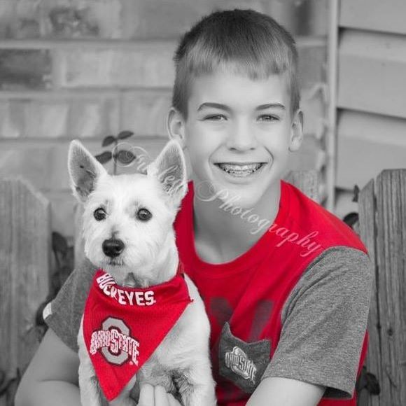 Meet your Posher, Dylan - Picture 1 of 1