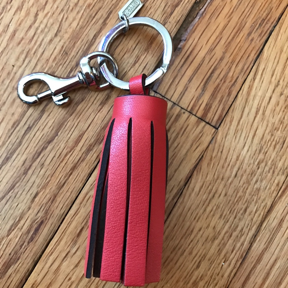 Purse tassel charm in orange