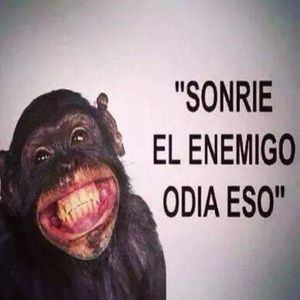 Meet your Posher, Joyce