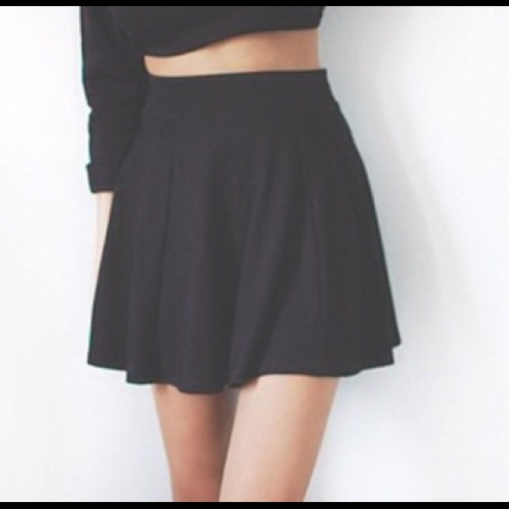 Nasty Gal Skater Skirt.