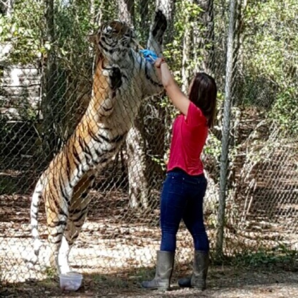 Meet your Posher, Larissa