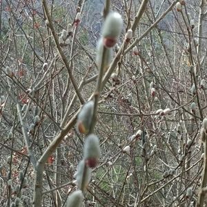 Meet your Posher, Abigail