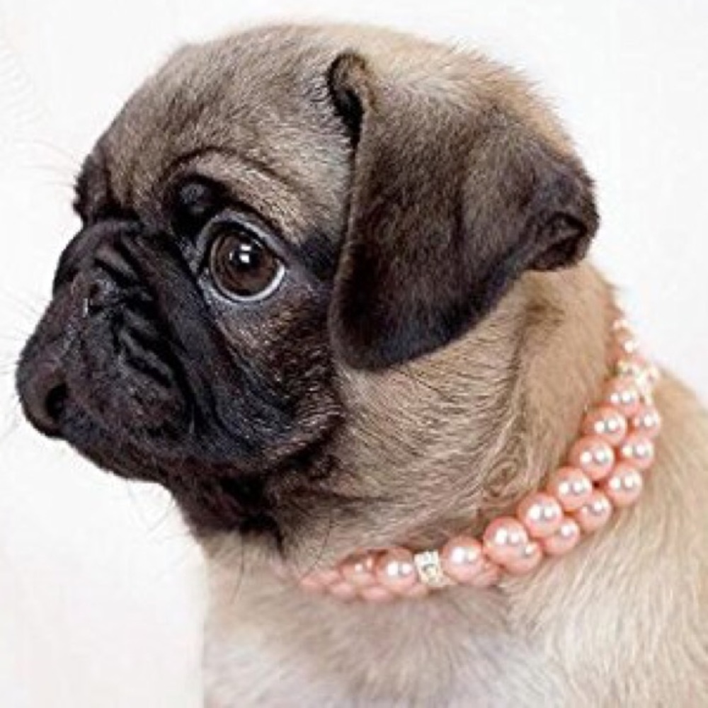 Dog Cat Collar Rose Pink Pearls