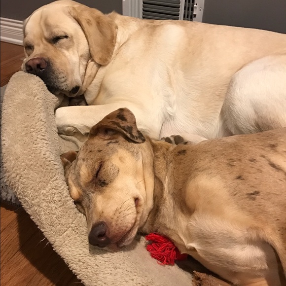 Meet your Posher: Leah, RN - Picture 3 of 5