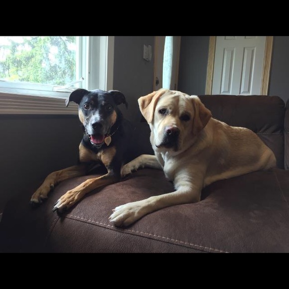 Meet your Posher: Leah, RN - Picture 4 of 5