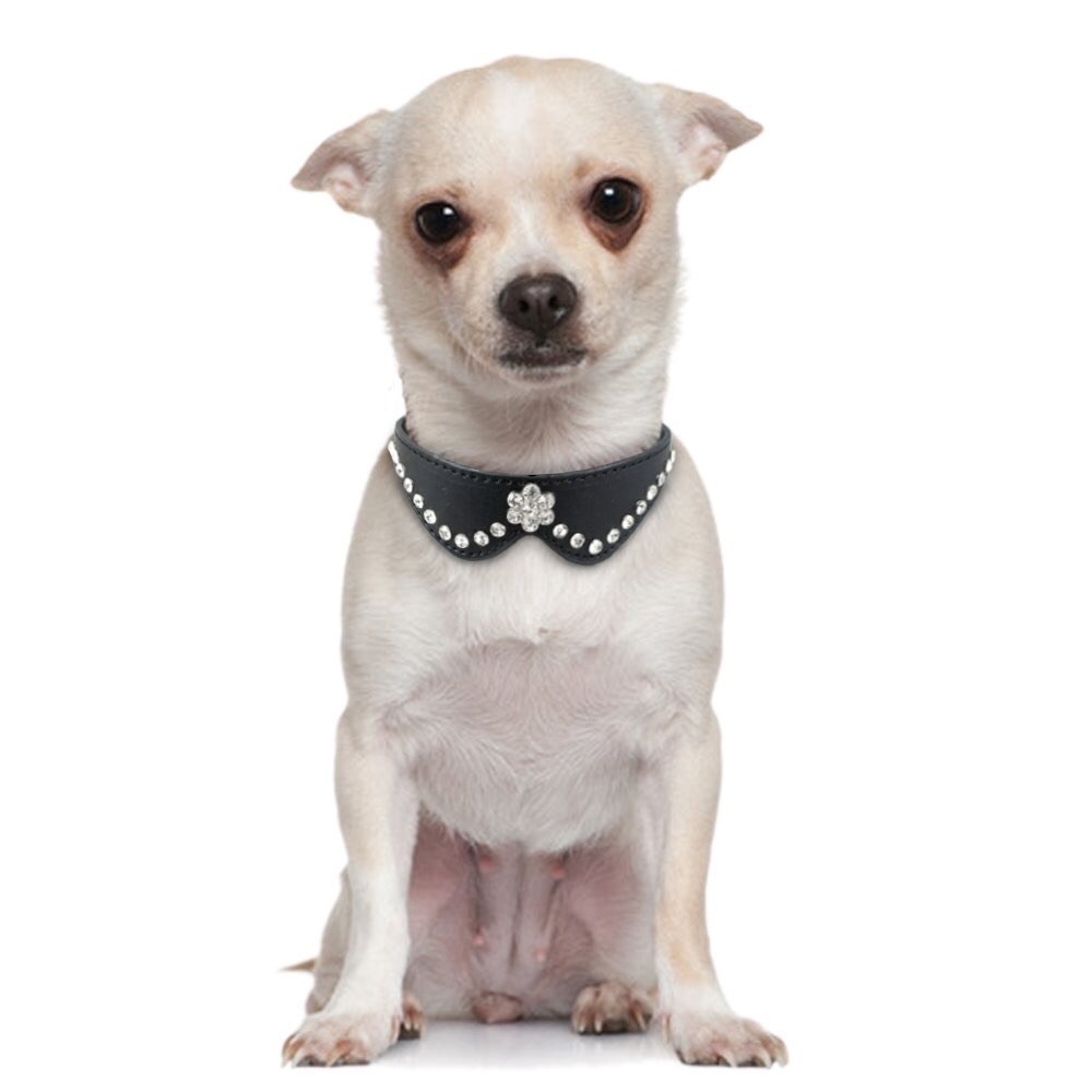 Black Pet Collar with Rhinestone