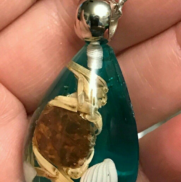 🦀HANDCRAFTED REAL BROWN CRAB  SHELL TIBETAN SILVER NECKLACE CHARM 18" CHAIN ✨️ - Picture 2 of 4