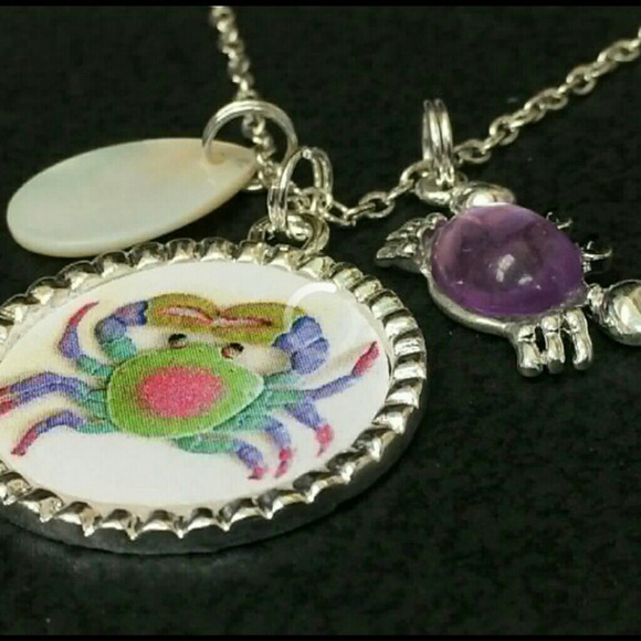 🦀✨️ HANDCRAFTED  CRAB  SHELL TIBETAN SILVER NECKLACE 18" CHAIN CHARMS ✨️ - Picture 4 of 4