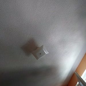 Meet your Posher, Eva