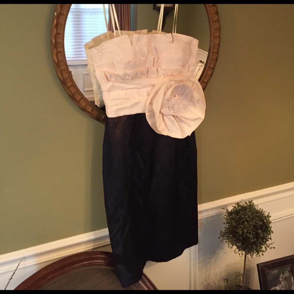 Max and Cleo strapless silk dress