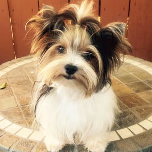 Meet your Posher, Debra