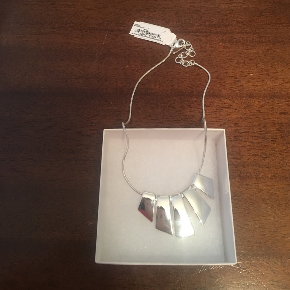 BNWT Silver Necklace